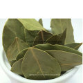 Dehydrated Dried Ad Air Dry Bay Leaf, Pelargonium, Bay Leaves, Myrcia